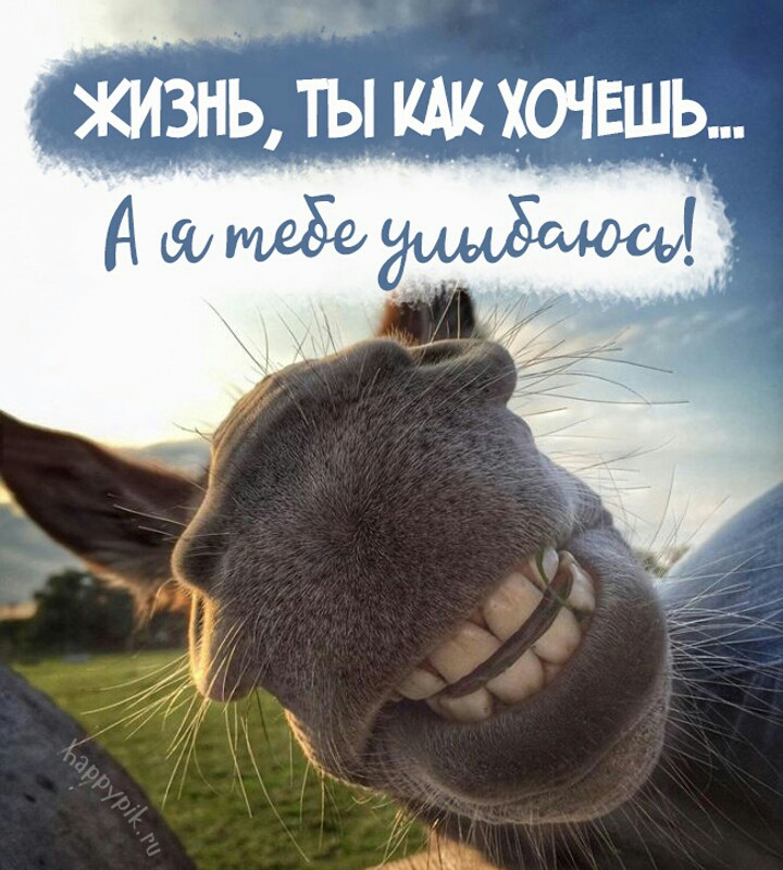КИ311Ь ТЬ ЩХОЧЕШЬ