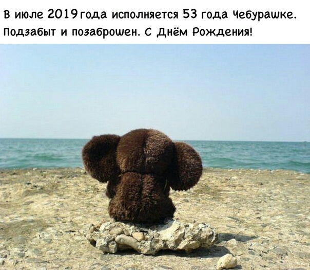 В июле 2019года исполняется 53 года Чебурашка подзабыт и поэаброшен С днём Рожденит