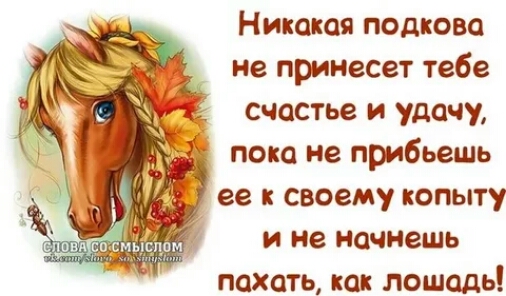 Никакая подкова не принесет тебе счастье и удачу пока не прибьешь ее к своему копыту и не начнешь пахать как лошадь