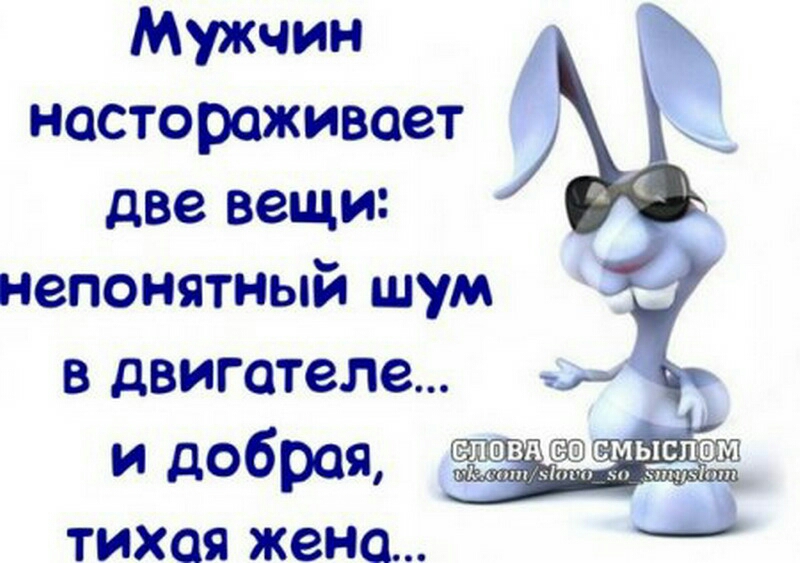 Мужчин настораживает две вещи непонятный шум в двигателе и добрая тихая жена