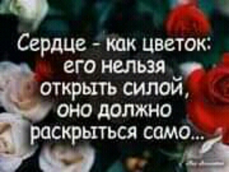 Сердце тк цветок его нельзя _ открыть силам оно должно раскрыться самэй