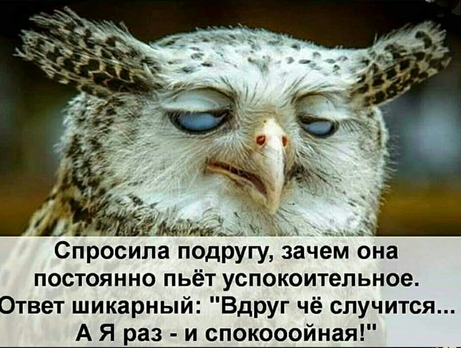 Спросила подругу зачем она постоянно пьёт успокоительное Ответ шикарный Вдруг чё случится А Я раз и спокооойная