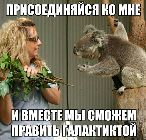 ИРИВПЕДИИИИВИ ИП МИЕА идвмвс ТЕ МЫВМШИЕ _ РАВИТЬ ПШАИТИИТПИ