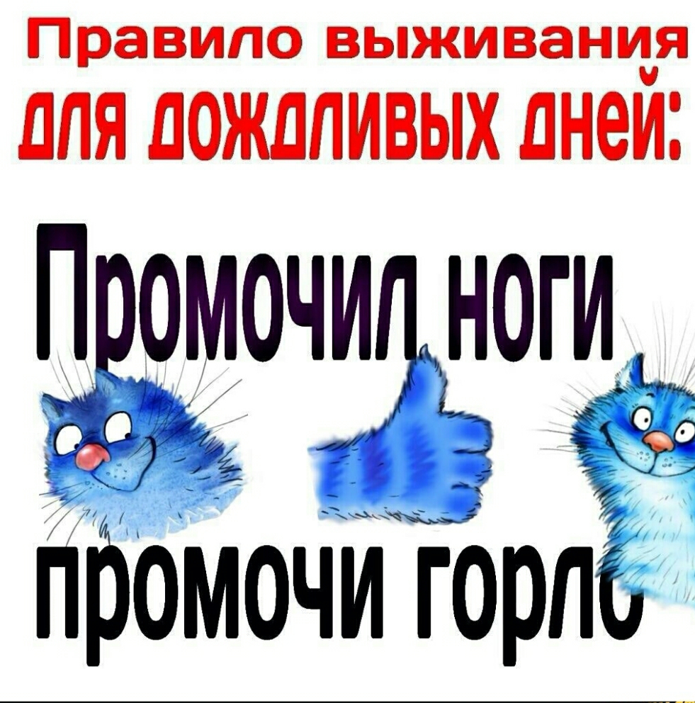 Правило ВЬЖИВЗНИЯ ЛПЯ ЛОЖЛПИВЫХ ЛНВЙі Гомочднтпи пббмочигорпг