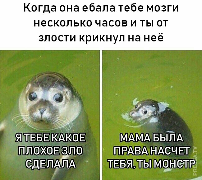 Когда она ебала тебе мозги несколько часов и ты от ЗЛОСТИ КРИКНУЛ на неё г гит _ Я ТЕБЕ КАЁОЕ МАМА БЫЁА ППОХОЕ ЗЛО ПРАВА НАСЧЕТ СДЕЛАЁА ТЕБЯТЬМ9Н6ТРЁ А