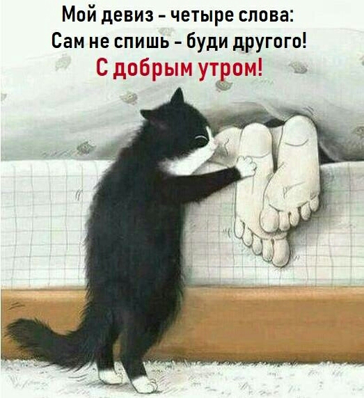 Мой девиз четыре слова Сам не спишь буди другого