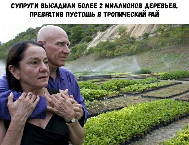 СУПРУГИ ВЫСААИАИ БОЛЕЕ 1 МИЛЛИОНОВ АЕРЕВЬЕБ ПРЕВЫТИВ ПУСТОШЬ В ТРОПИЧЕСКИЙ РАЙ