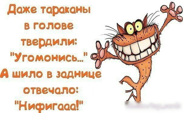 даже тараканы В ГОЛОВЕ твердили Угомонись А шило в заднице отвечало Нифигааа