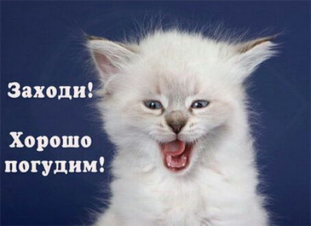 Заходи Хорошо погудим