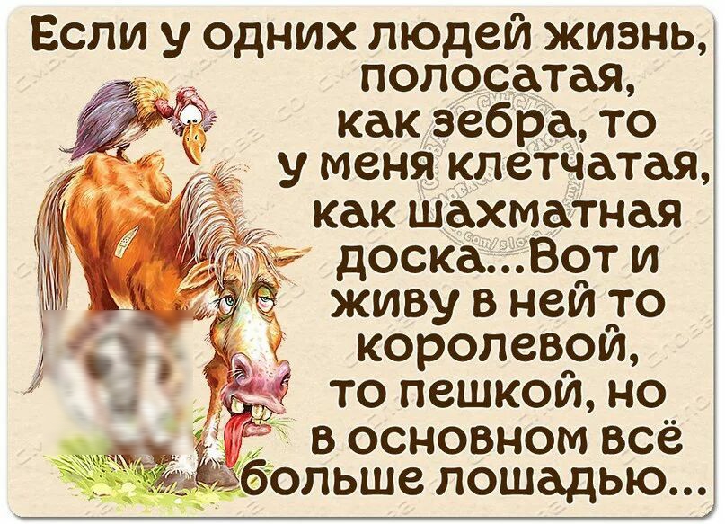 Если у одних людеи жизнь полосатая как зебра то у меня клетчатая как шахматная доска Вот и живу в ней то королевои то пешкой но_