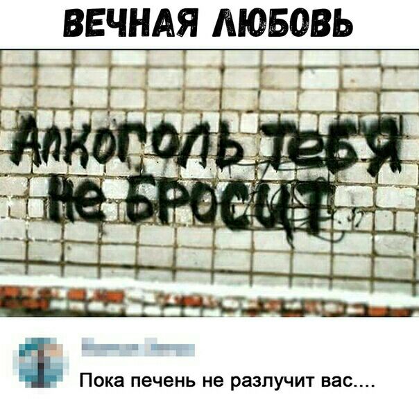ВЕЧНАЯ ЛЮБОВЬ 1 Пока печень не разлучит вас