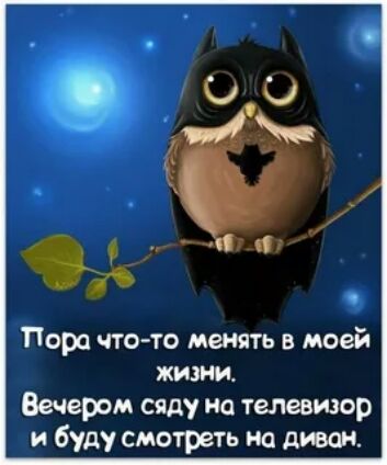 Пора чтото менять в моей жизни Вечером сяду на телевизор и буду смотреть на диван