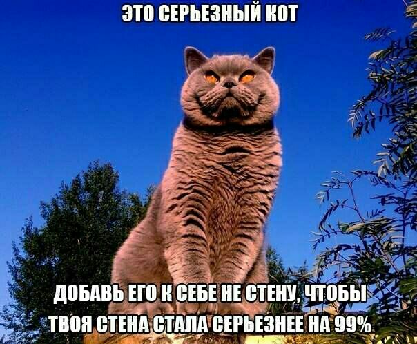 это БЕРЬЕЗИЫЙ ШП