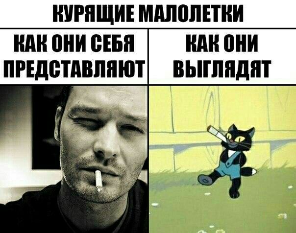 НУРПЩИЕ ММПППКИ ШШ они ВЕБ А они ПРЕДВТАВЛЯЮТ ВЫПШДНТ