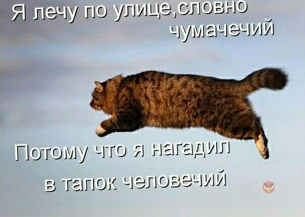 ЩёддШЩгю уши е сльо но у зчий Потому что агадил В ТЕЩГЮК ЧЭЪГЮВЭЧИИ