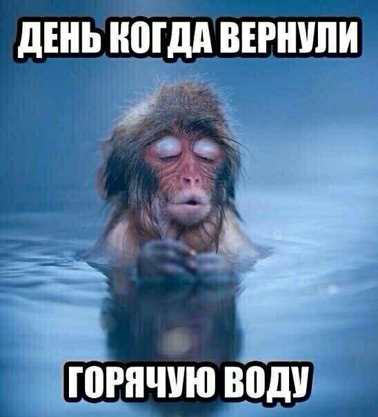 дънь ногдд ввпиили