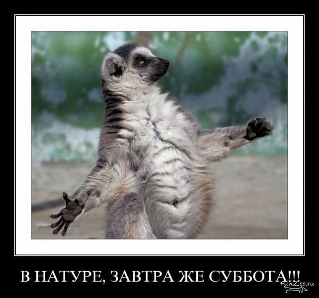 В НАТУРЕ ЗАВТРА ЖЕ С УББОТА