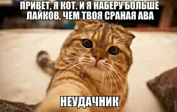 ПРИВЕТ И ИВТ И И ИдБЕРУ БВПЬШЕ ПАИИВВ ЧЕМПЮИ ОРАНАИ МШ