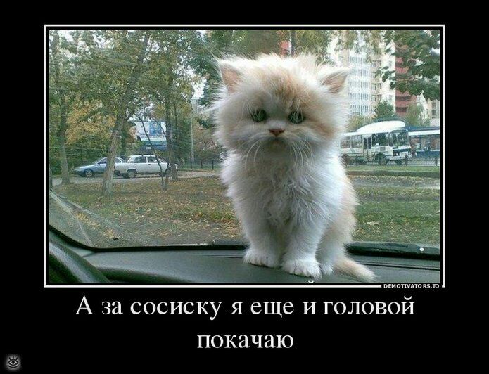 А за СОСИСКУ Я еще И ГОЛОВОЙ ПОКЗЧЗЮ