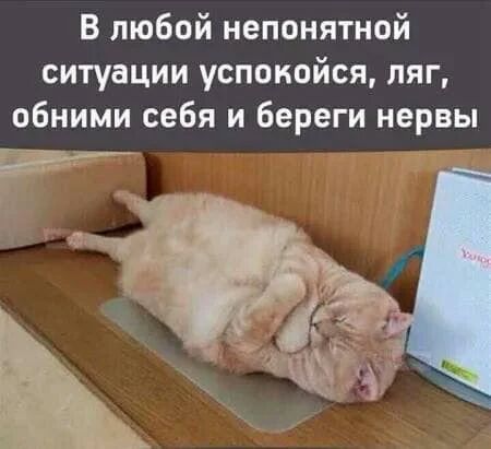 В любой непонятной ситуации успокойся ляг обними себя и береги нервы