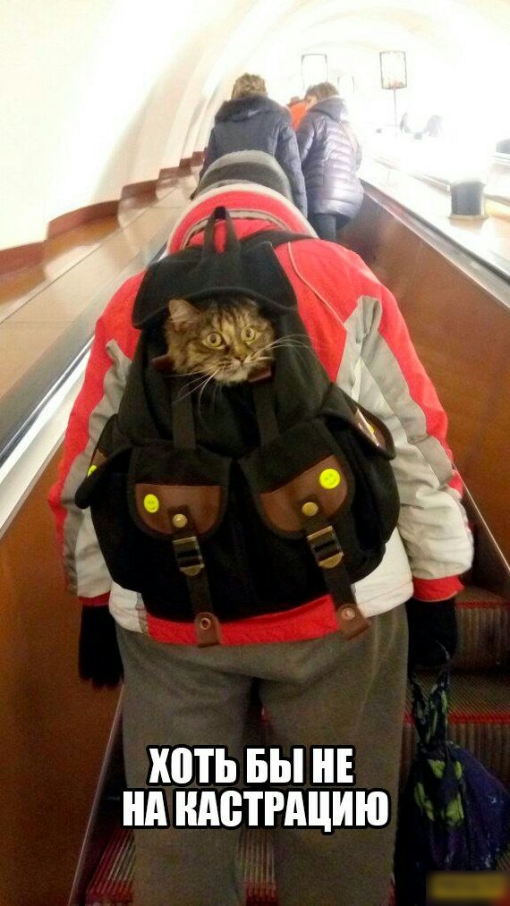 ШТЬ БЫ нд НАЁТРАЦИЮ