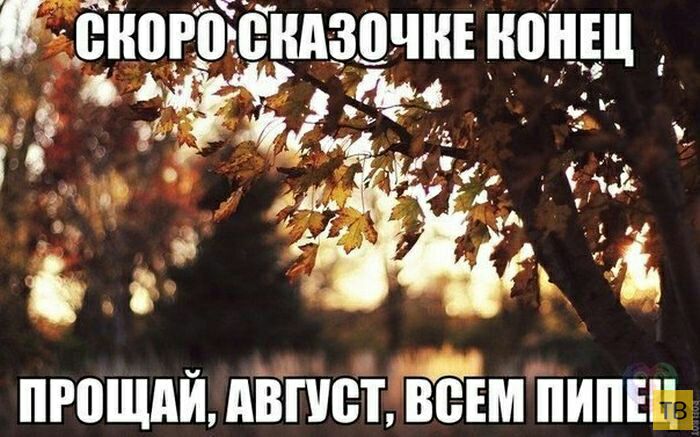 пгощдй двпют тім пины