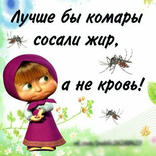 ь чше бы комары Иж сосали жир _ а не кровь 105 3