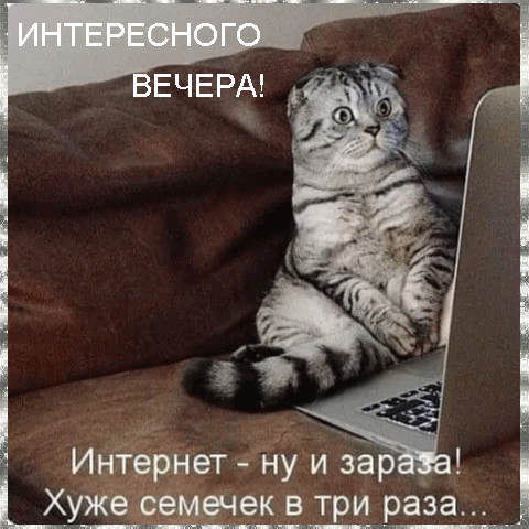 Интернет ну и зёр Х_уже семечек вЩраза