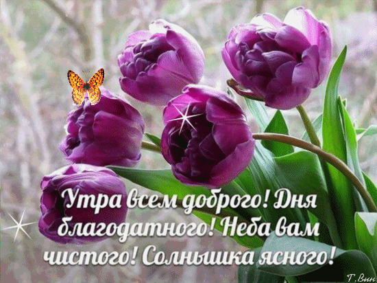 7 Минимал7 тт м