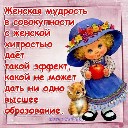 шт В