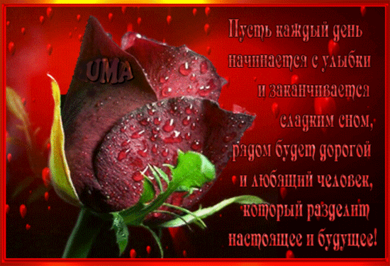 _ ЭЮШЧШЩС с г тчк 9 анд пм с