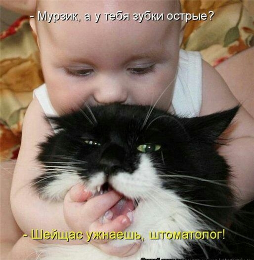 Шэйщаш ру даешь шгоыш