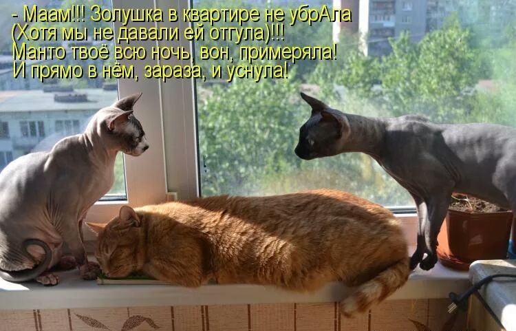 ЁАПЗЭ РВ И 0 щ