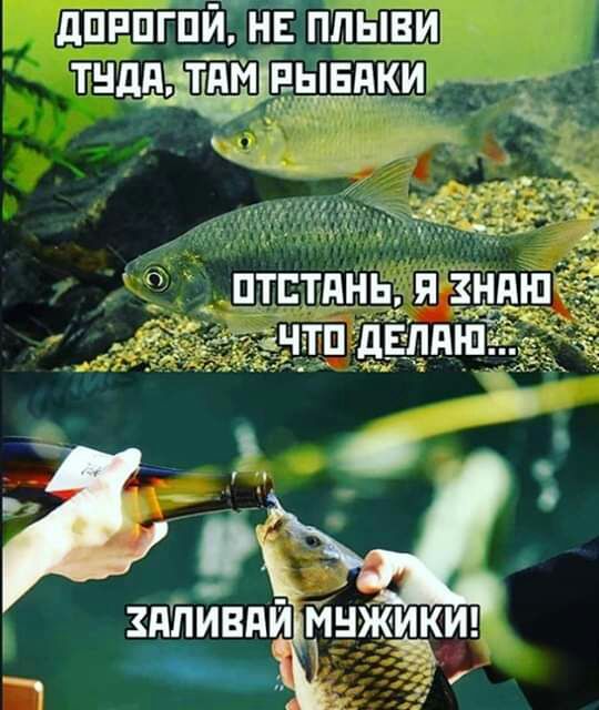дпппгпйінв плыви тнддъ ТЁм 553 дд