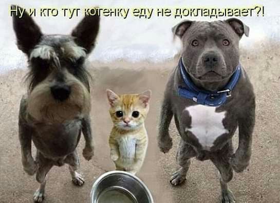 КТО ГУГ