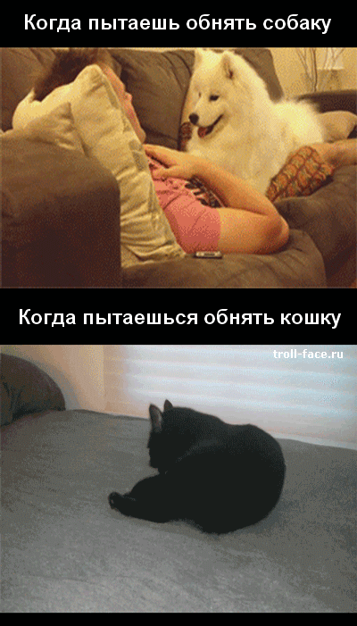Когда пытаешь обнять собаку
