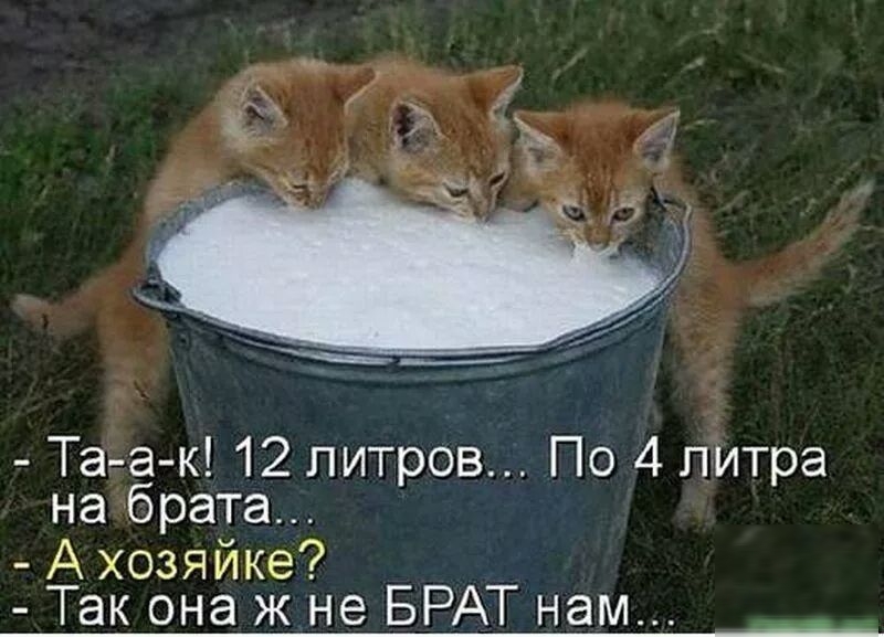 Таіа к 12 литров По 4 підтра набрата Ахозяйке Так она ж не БРАТ нам