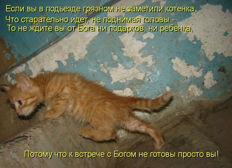 Что стануть не гюдгіимая гопов То не жди Бога ни подарков ни к встрече с Богом не готовы просто вы