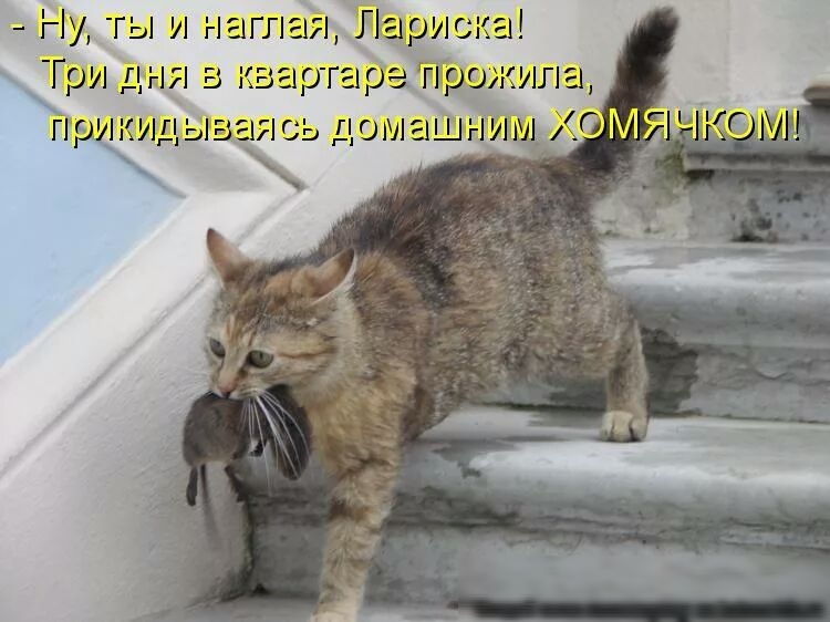 Ну ты и малая Парижа Три дня в квартире ипц _