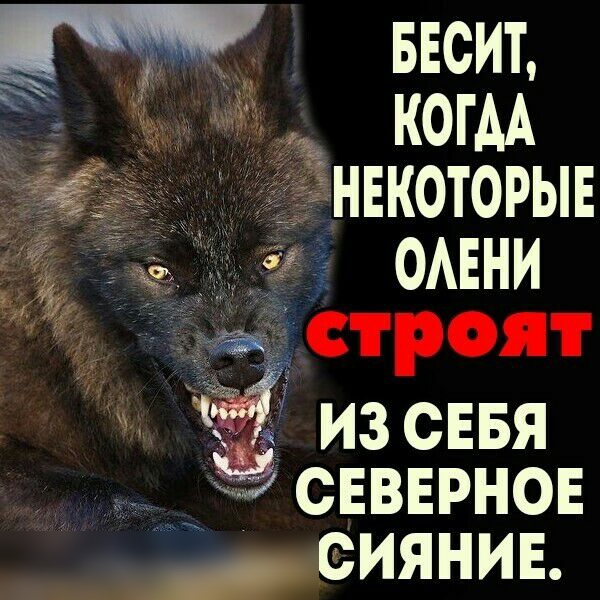 из СЕБЯ _ сввврнон сияние