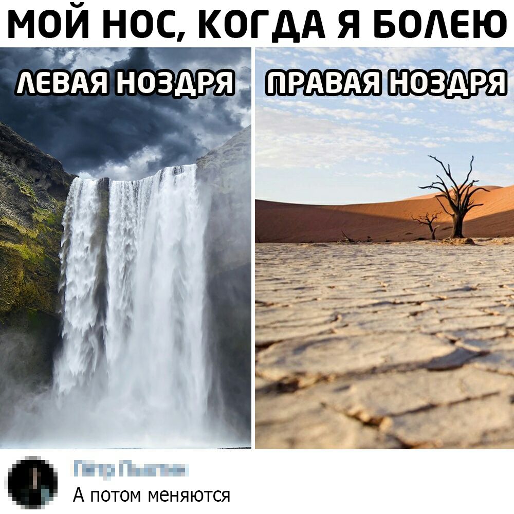 МОЙ___Н0С КОГДА Я БОАЕЮ АЕВАЯ ноздря _ А потом меняются