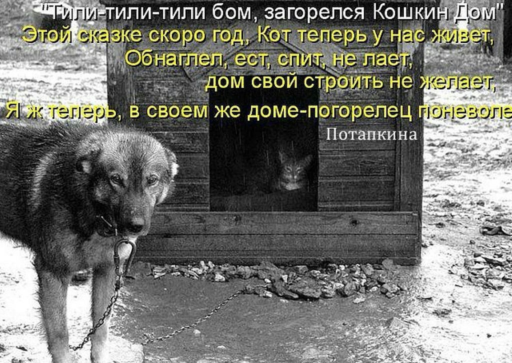 гМ ЖЗ ДОМЭЧЧЮ Потапкина