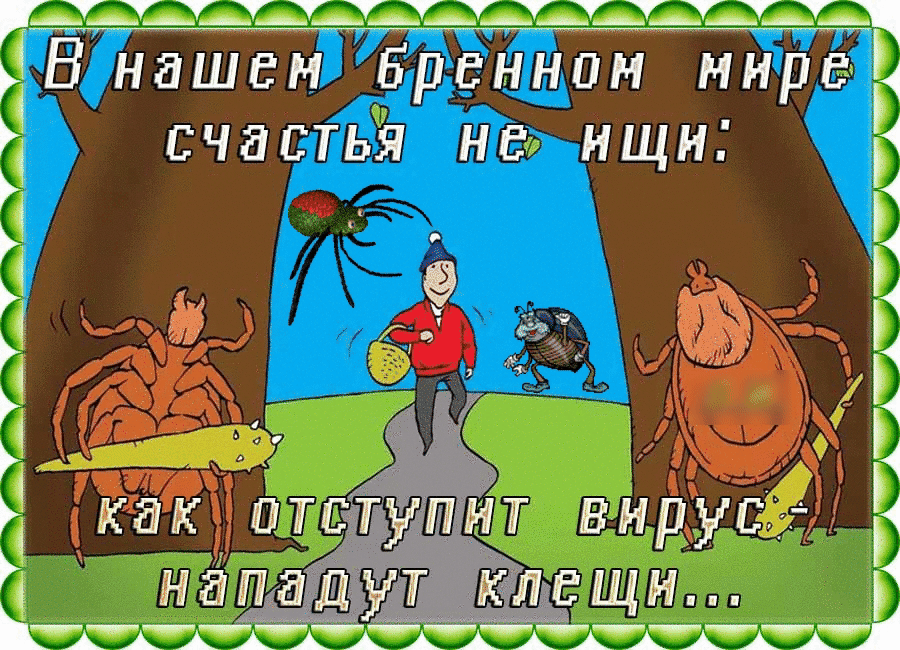 у В нашем Брзннпн нирац ВЧЕШПЬЁЭ нщн Н ___і