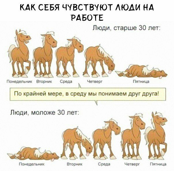 КАК СЕБЯ ЧУВСТВУЮТ АЮАИ НА РАБОТЕ Люди старше 30 лет Понедельник тории к Сваи Пятиииг По крайней мере в среду мы понимаем друг друга Люди моложе 30 лет втриик соед чцрг Пятиш