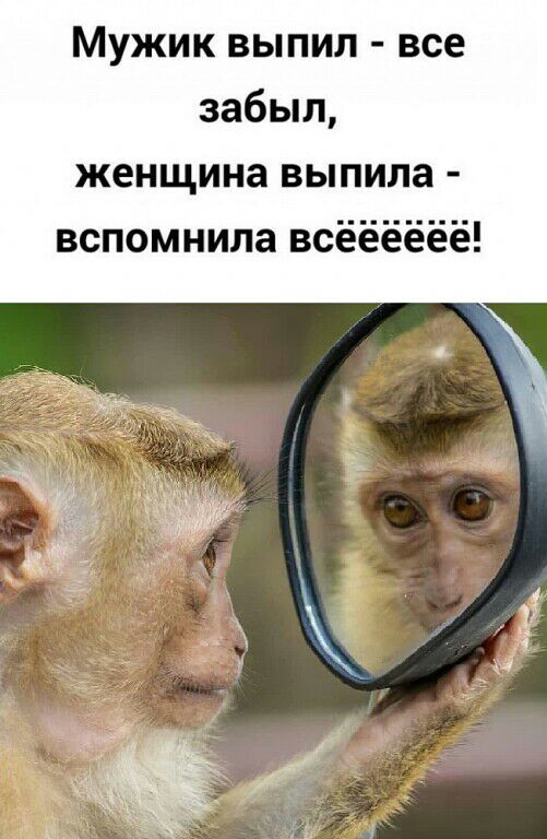 Мужик выпил все забыл женщина выпила вспомнила всёёёёёё