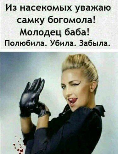 Из насекомых уважаю самку богомола Молодец баба Полюбила Убила Забыла