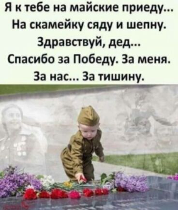 Я к тебе на майские приеду На скамейку сяду и шепну Здравствуй дед Спасибо за Победу За меня За нас За тишину