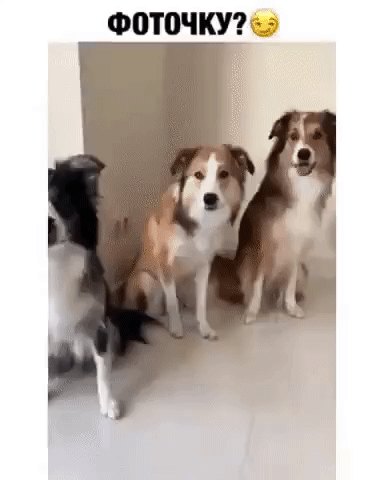ФИШКУ