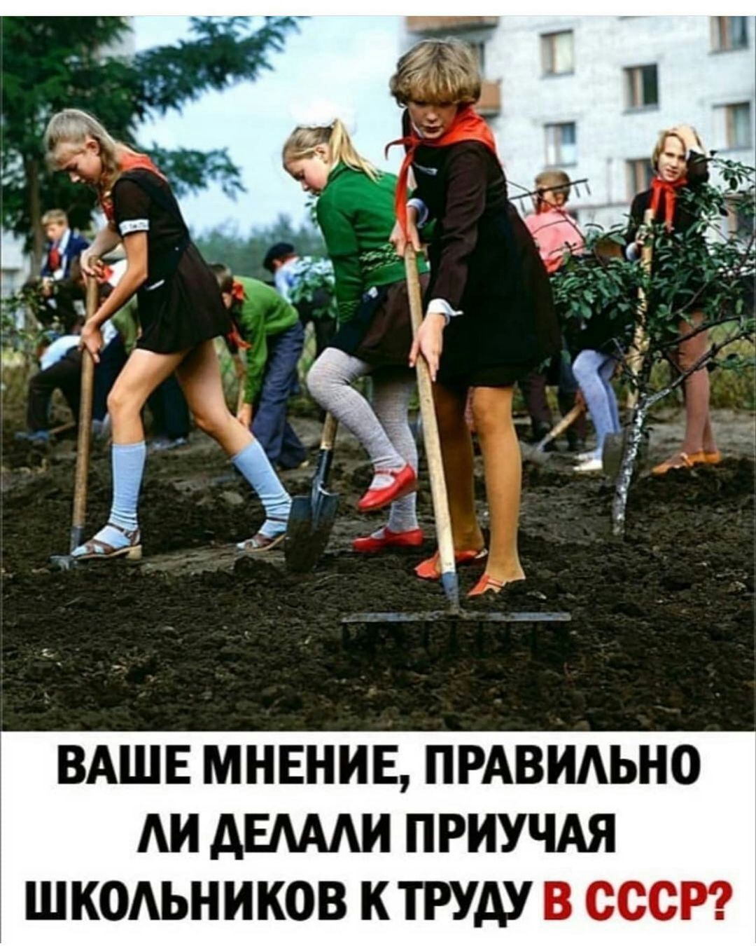 ВАШЕ МНЕНИЕ ПРАВИАЬНО АИ АЕАААИ ПРИУЧАЯ ШКОАЬНИКОВ КТРУАУ В СССР
