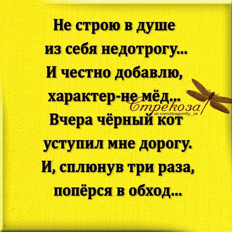 Не строю в душе себя недотрогу и честно добавлю характер 41 Вчера чёр ине 1101 и 9838 поперся в обход